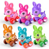 Baby Funny Kids Toys Spring Clockwork Toy Mini Pull Back Jumping Frog/Dog/Lion Wind Up Toys for Children Boys